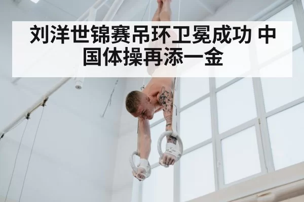 刘洋世锦赛吊环卫冕成功 中国体操再添一金