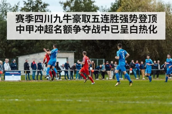 赛季四川九牛豪取五连胜强势登顶中甲冲超名额争夺战中已呈白热化